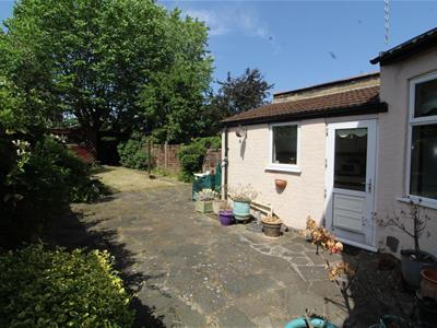 Picture 11